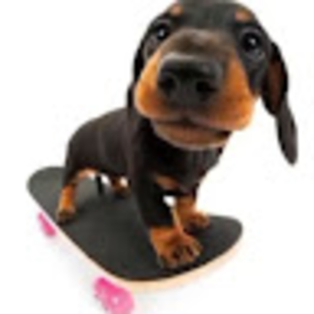 Meet your Posher, Adrie